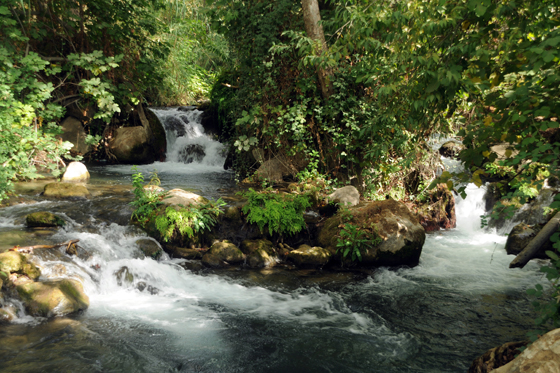 זרימת נחל חרמון הבניאס