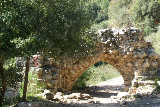 נחל אורן בכרמל