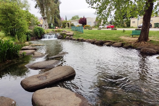 פלג נחל דן בקיבוץ דפנה - אצבע הגליל