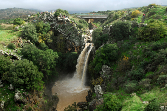 זרימת שיטפון בנחלי נחל סער
