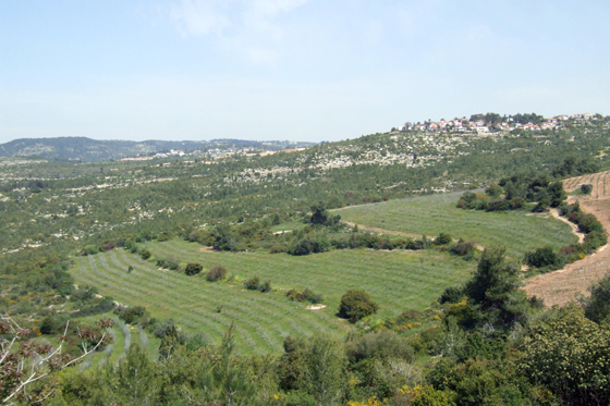 תצפית משלוחת שיירות בדרך העולה לירושלים