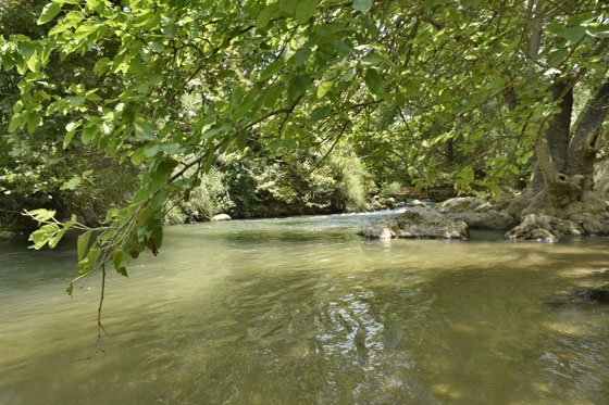 שמורת נחל שניר