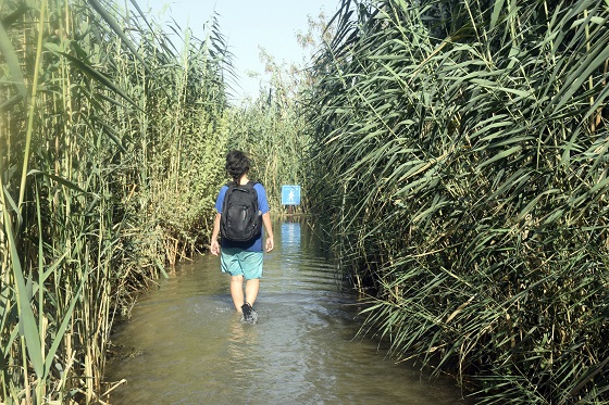 השביל הרטוב בפארק עמק המעיינות