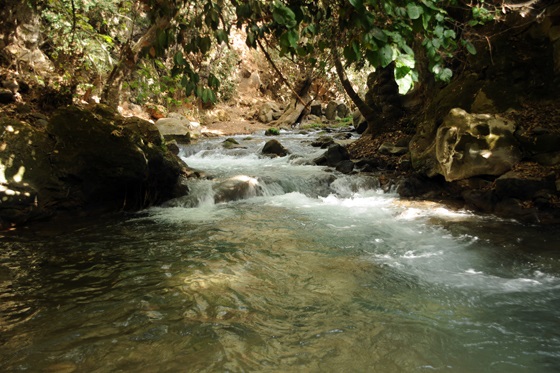 בריכת הטנק הסורי בנחל חרמון