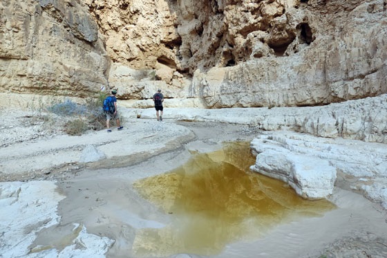 מצוקי דרגות נחל משאש (דרגה עליון)