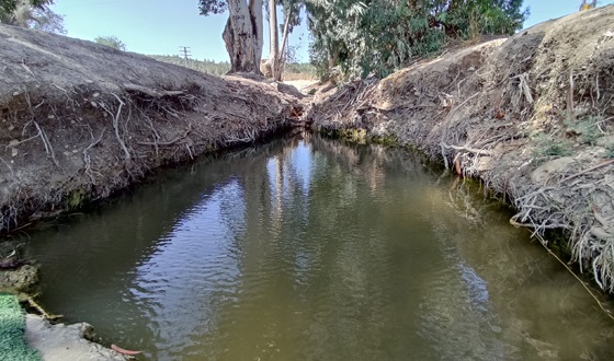 נחל ירמות באזור בית שמש