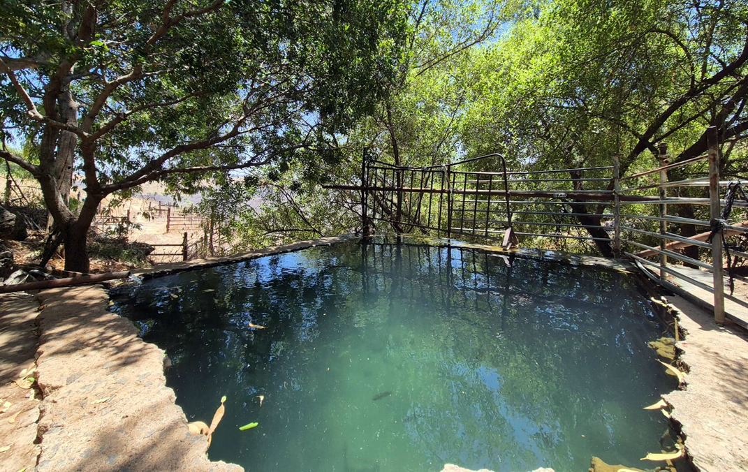 מעיין הבוקרים מלא וצלול