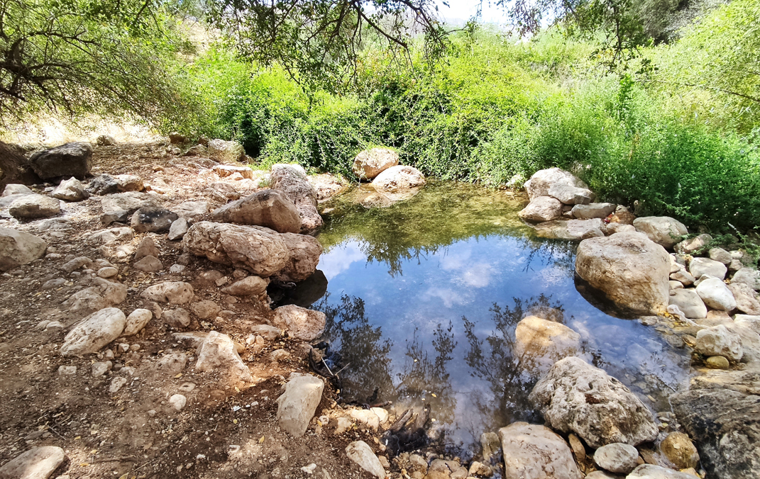 בריכת הסכר בעיינות פצאל