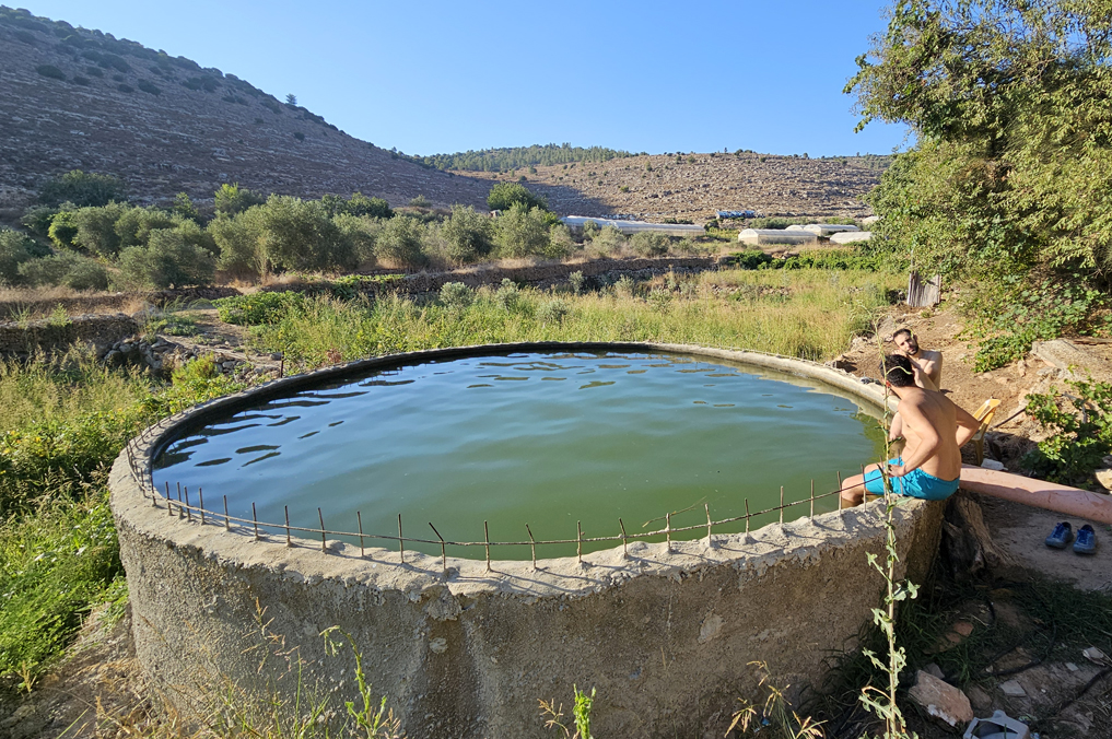 הבריכה העגולה בואדי פוכין