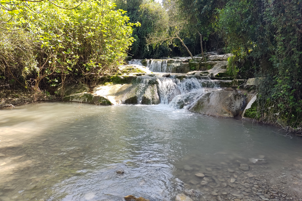 בריכות ומפלים בנחל השופט