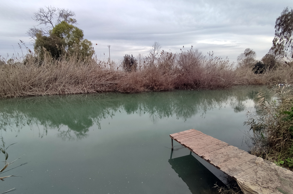 בריכת עין עדעד
