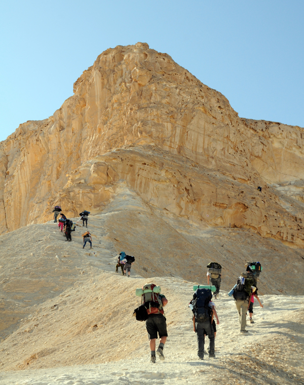 הולכים במסלולים למיטיבי לכת בדרום