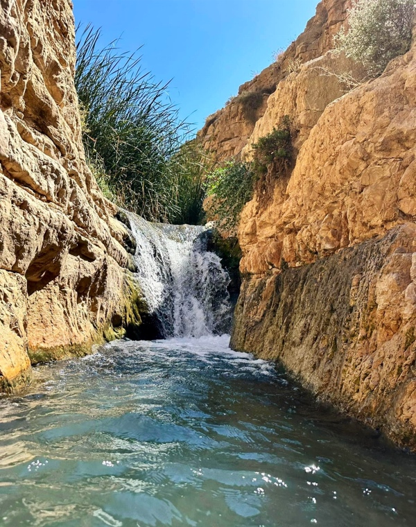 נחלים ומעיינות במדבר סתיו 2024