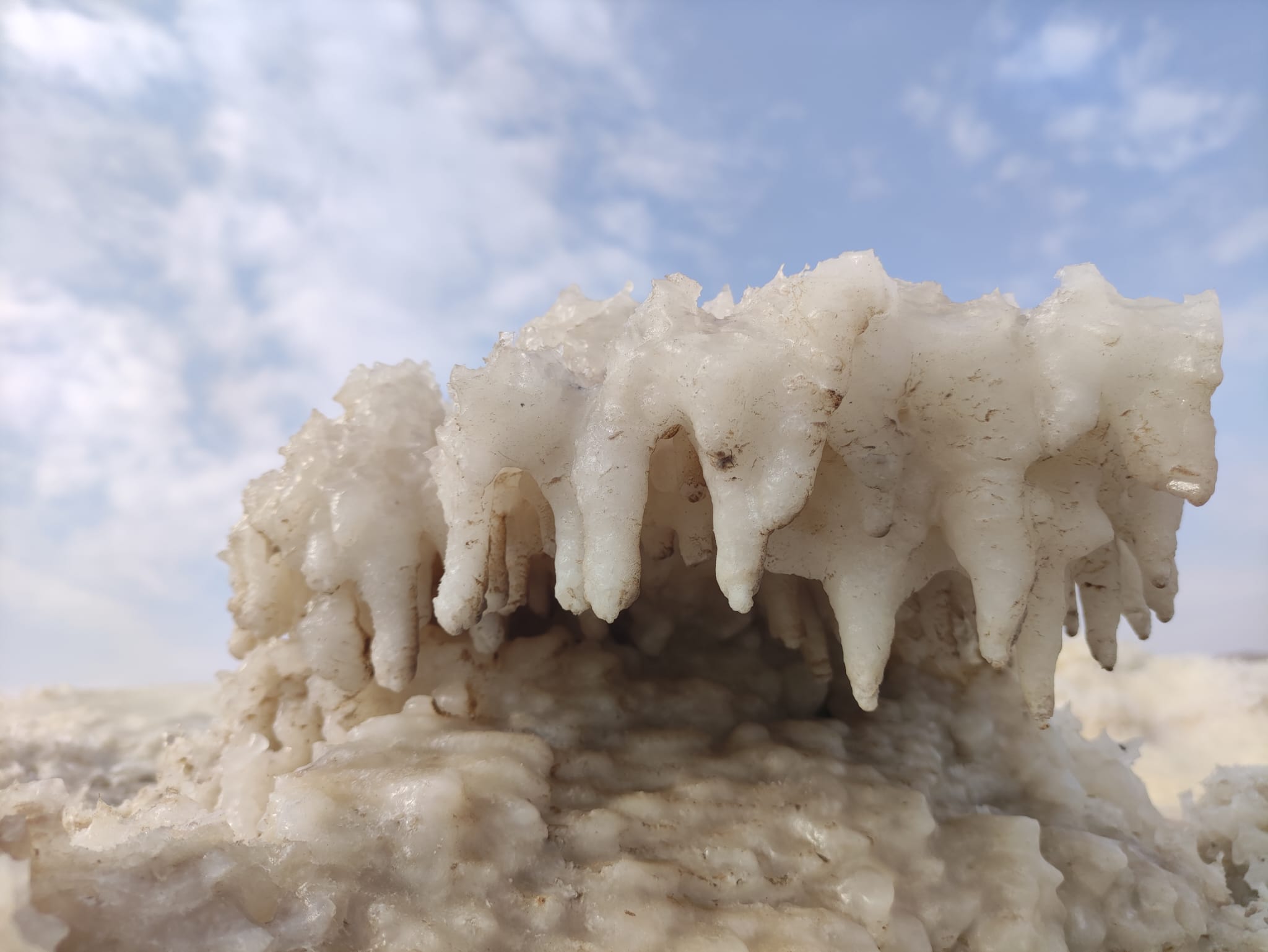 נטיפי מלח בטיול העוגות