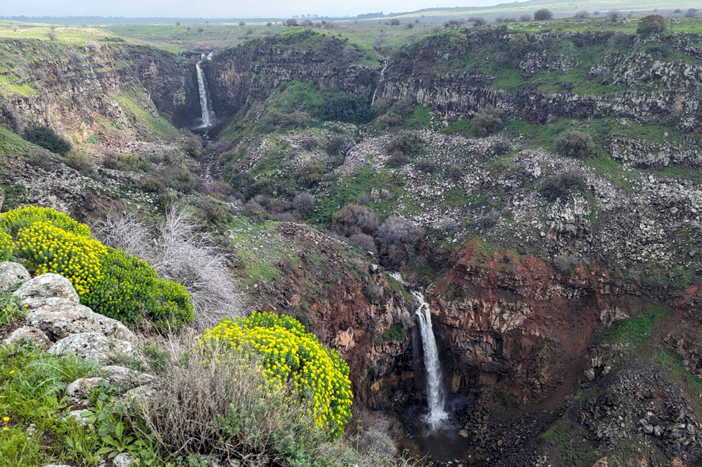 תצפית על מפלי נחל גמלא בזרימת חורף - דרום רמת הגולן