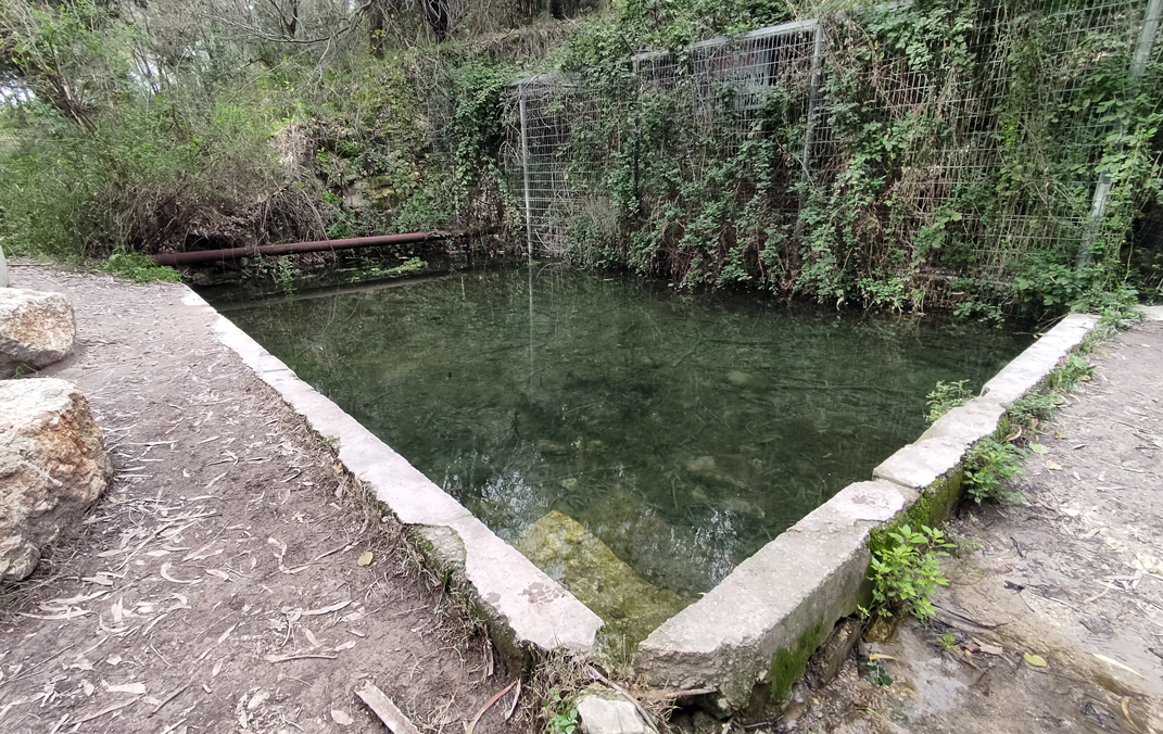 מעיין שולמית ברמות מנשה