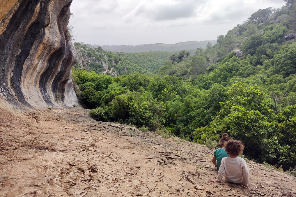 צניר מול נוף מרהיב בשוויצריה הקטנה
