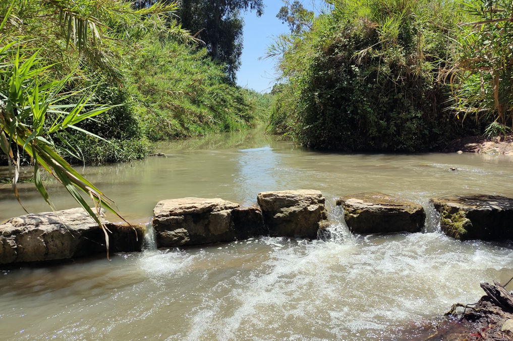 ג'קוזי טבעי בנחל הירקון