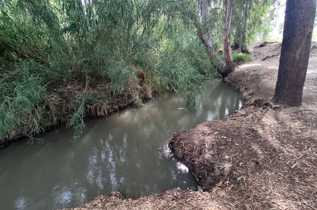 בריכת הגשר בנחל הירקון, ליד בית הבטון