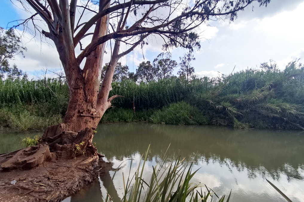 בריכת הטרזן בנהר הירקון