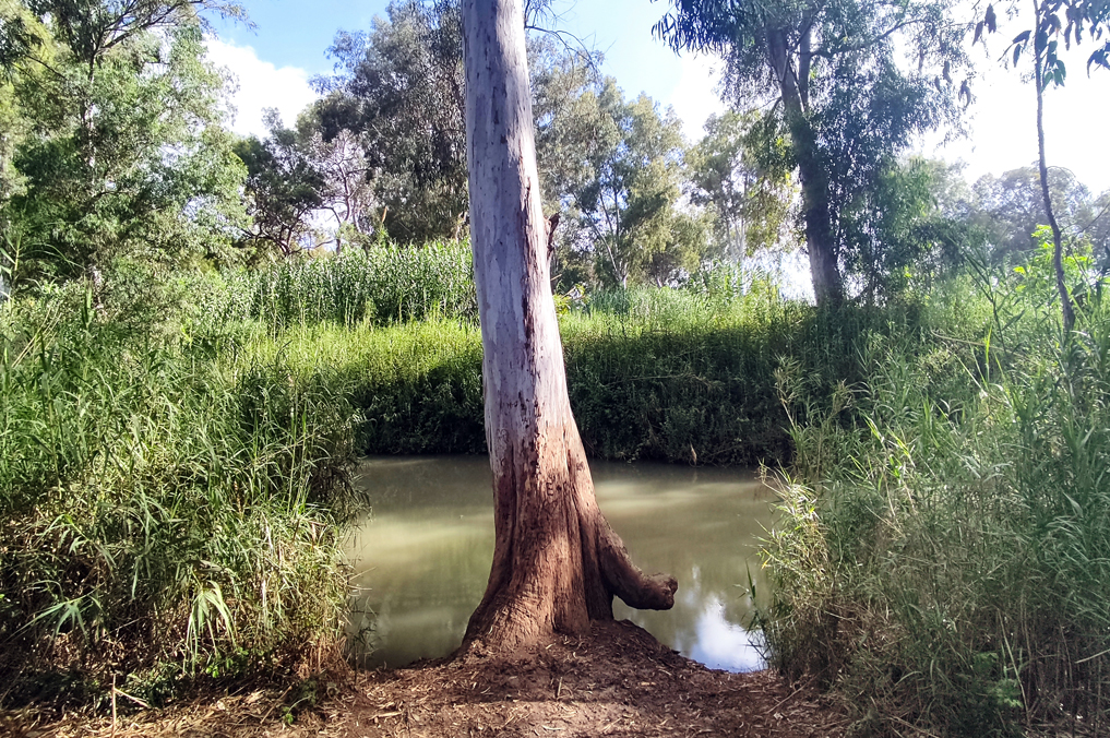 בריכת העיקול האינטימית