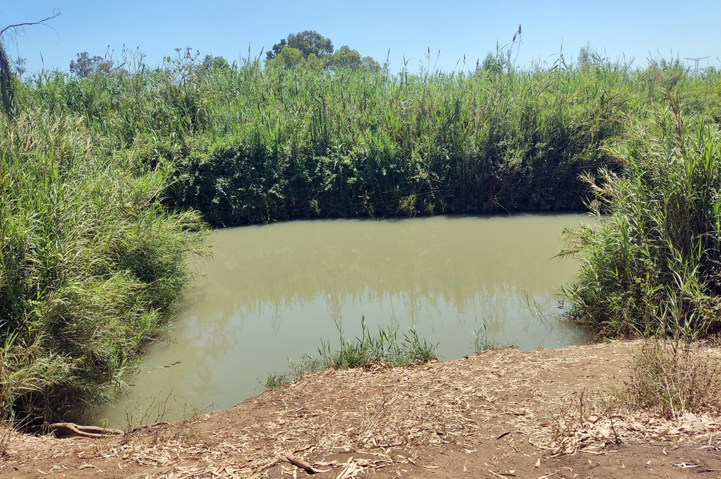 הבריכה העמוקה בנחל הירקון (עין פינצי)