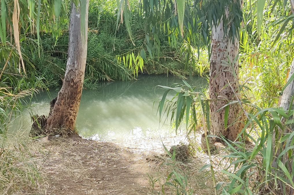 בריכת השער בנהר הירקון