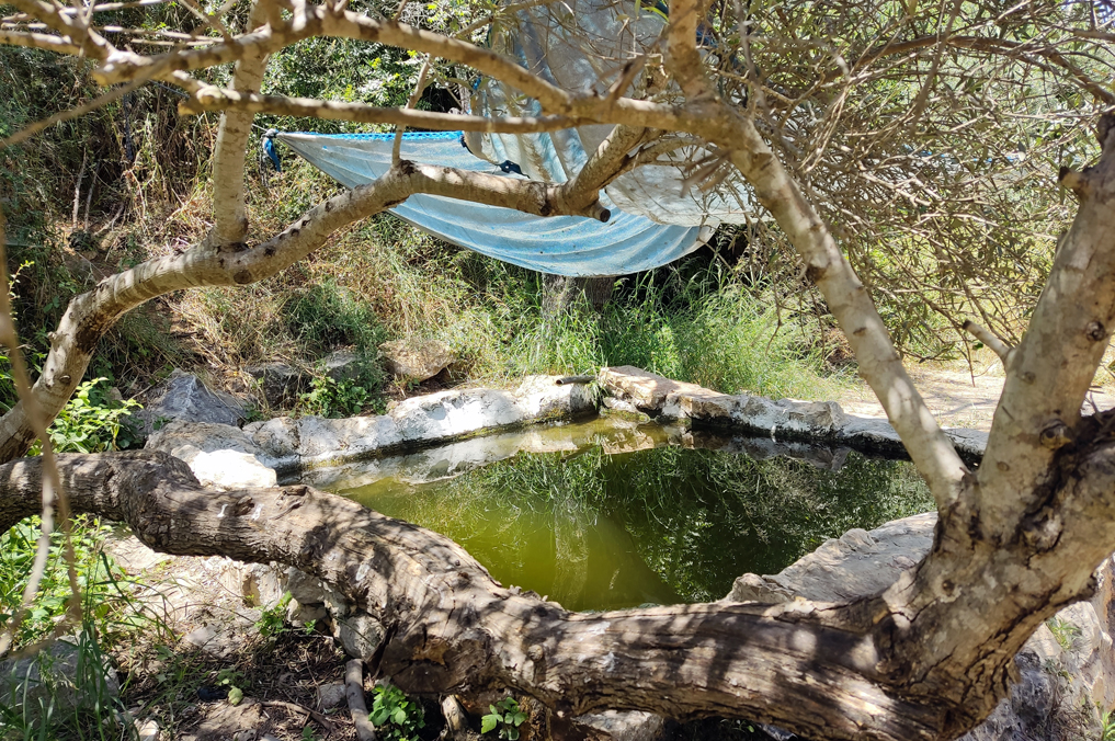 בריכת המעיין החבויה של עין אל-חרב