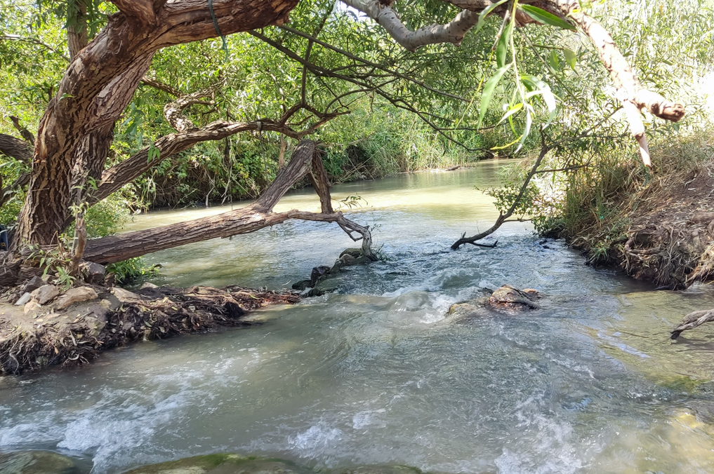 בריכות ומפלונים בנחל הירקון, סמוך לבית לאה