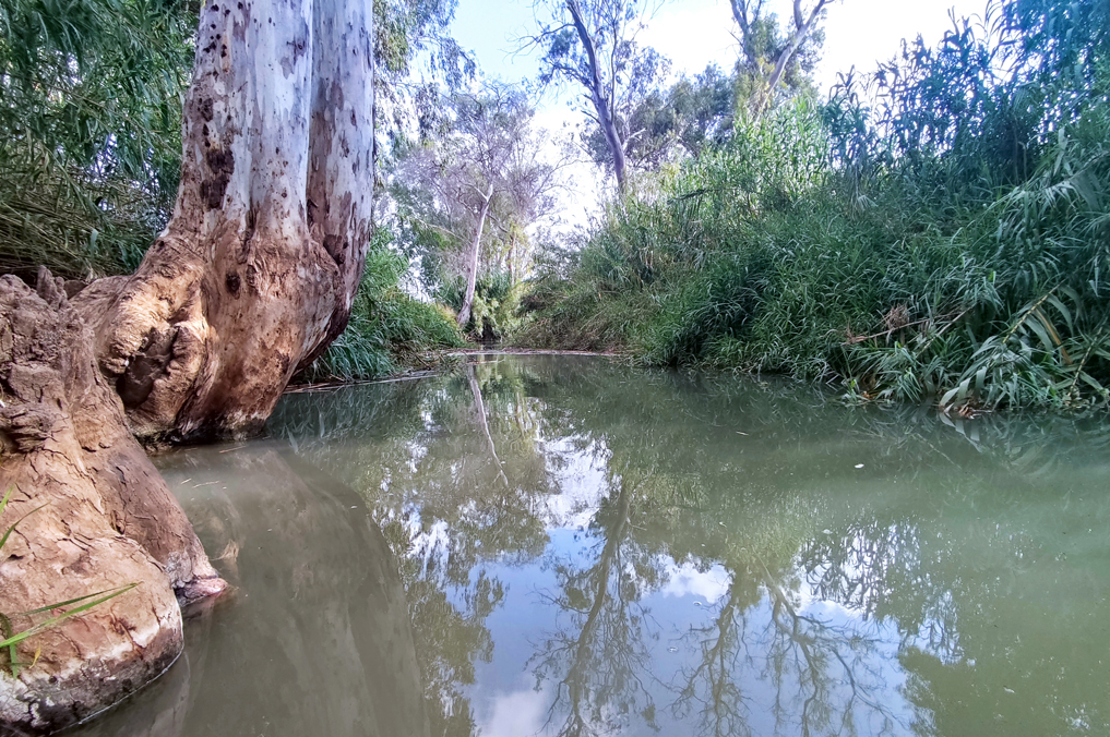 בריכה בנחל הירקון לצד כפר הבפטיסטים