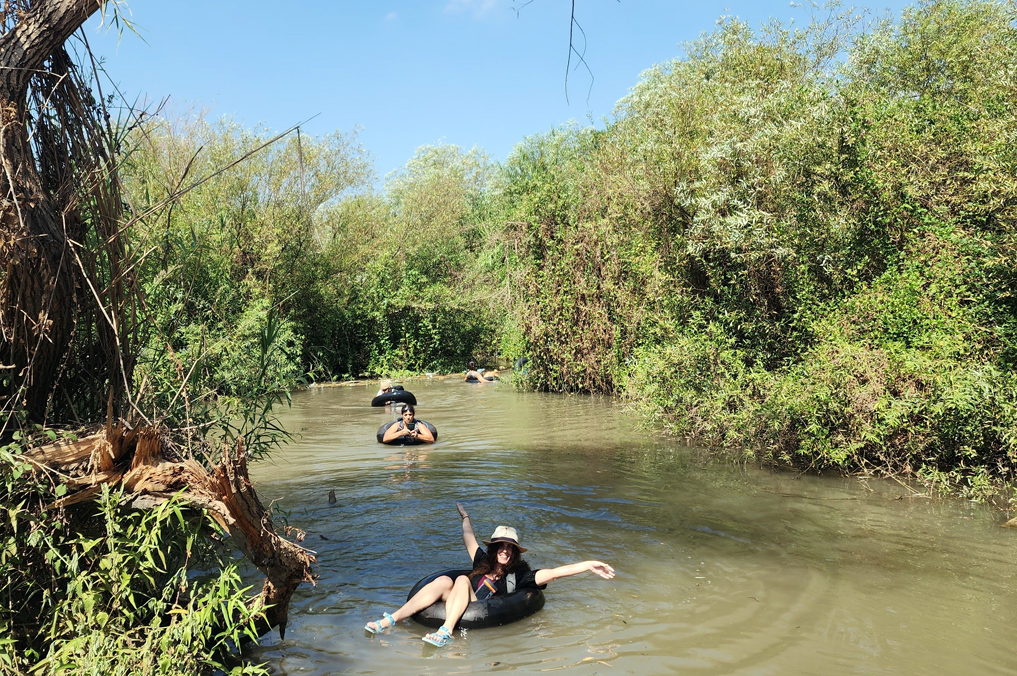 אבובים בנחל הירקון