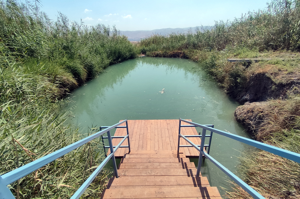מדרגות עץ ודק ממש על המים, במעיין עין גרר