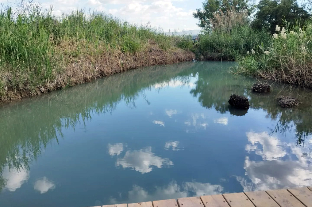 בריכת המעיין עין יבוק בימות האביב