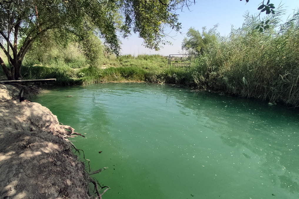 המעיין עין ירמוך בארץ המעיינות