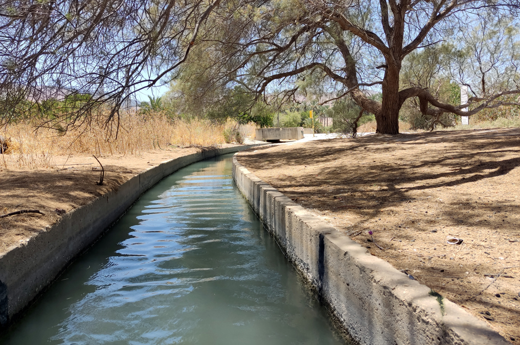 תעלה בה אפשר לרחוץ ולשכשך תחת עצי האשל